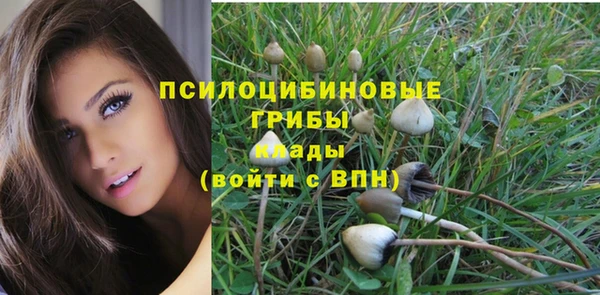 кокс Баксан