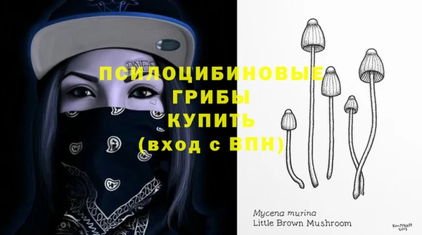 спиды Балахна